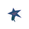 Kiss-Cut Sticker — Star 'UR DOING GREAT' Vinyl Decal (Encouragement Sticker)